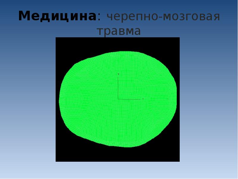 Компьютерное моделирование в медицине презентация