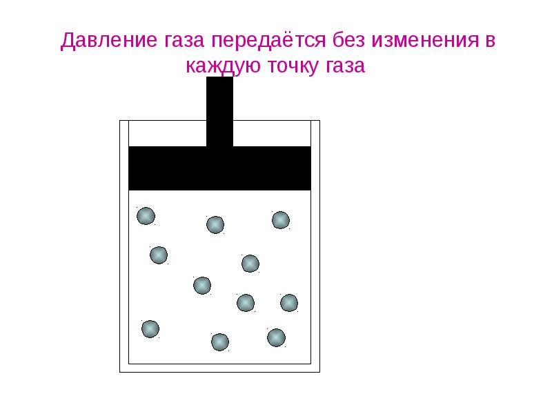 Вирусы и бактерии геометрическая форма расположение в пространстве рост численности проект