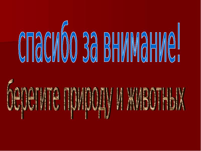 Животные красной книги пермского края презентация