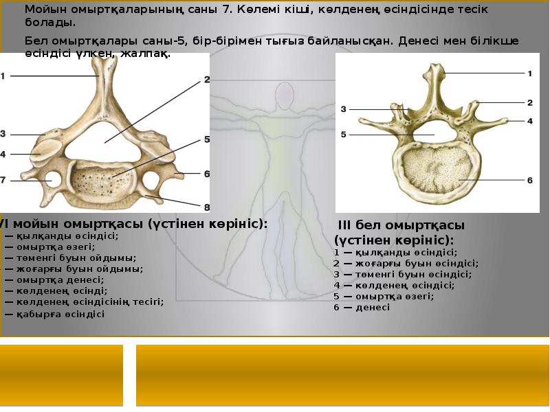 Буындық синдром презентация