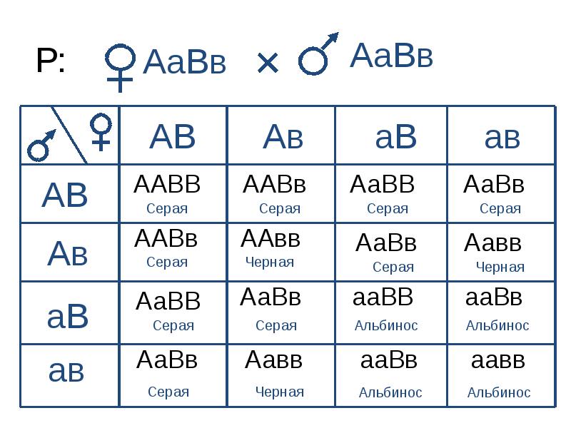 Схема aabb x aabb