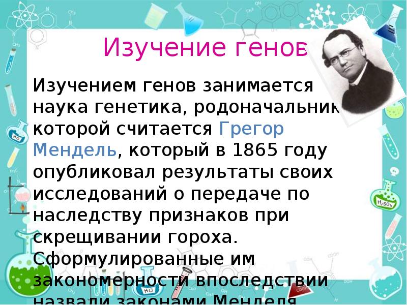 Свойства гена. Прародитель генетики. Какая наука изучает гены?. Кто изучал гены. Кто изучил геном.