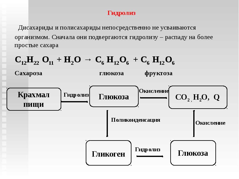 Схема гидролиза полисахаридов