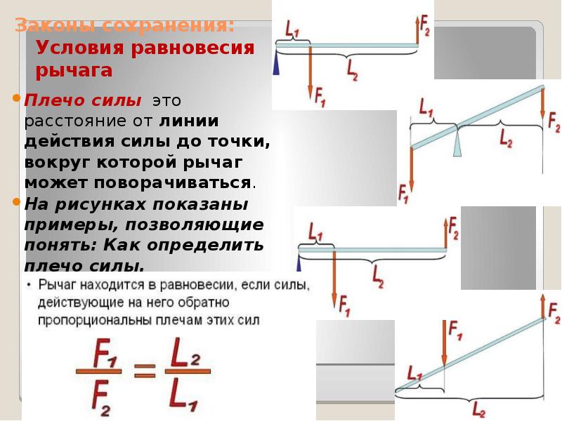 Для каждого положения тела на рисунке покажите плечо силы