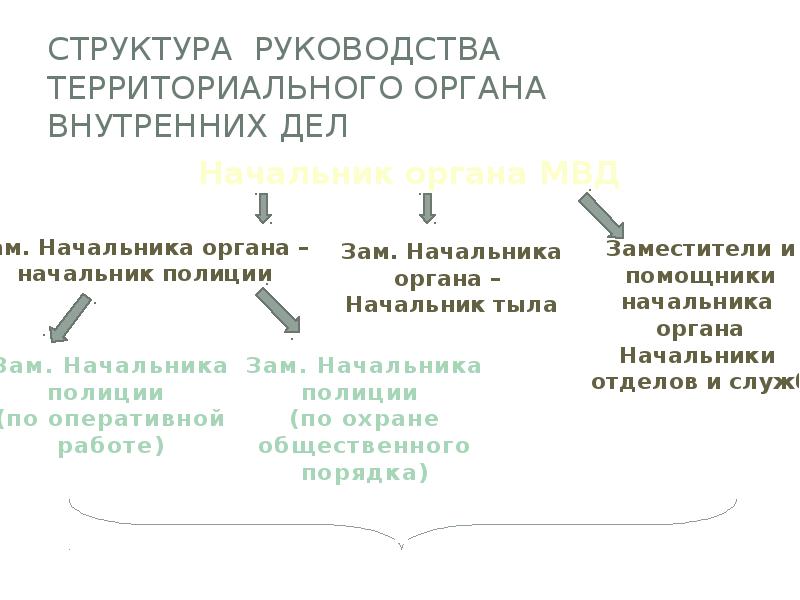Структура руководства территориального органа внутренних дел Структура руководства территориального органа внутренних дел