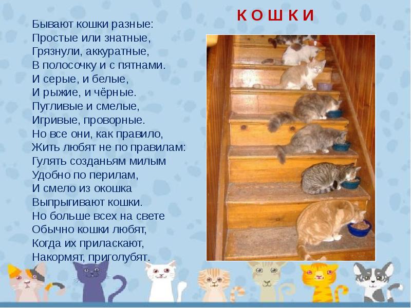 Текст песни кошка. Стих про кошку. Стишки про кошек. Веселый красивый стишок про кошечку. Стихотворение о кошке для детей 1 класса.