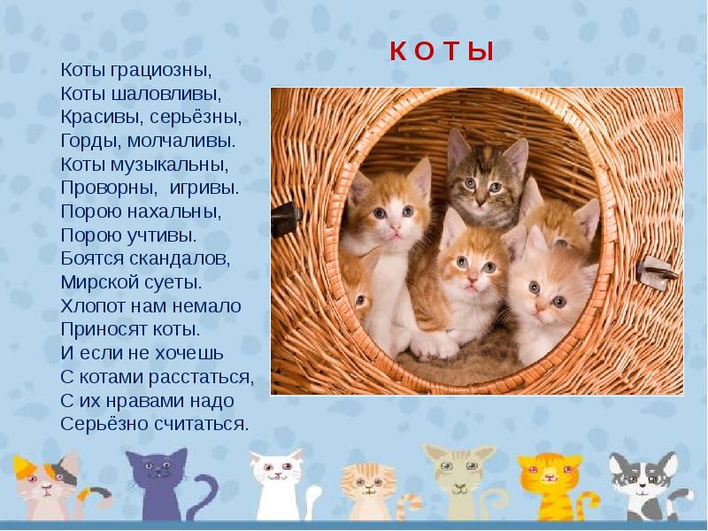 Кошка презентация для дошкольников