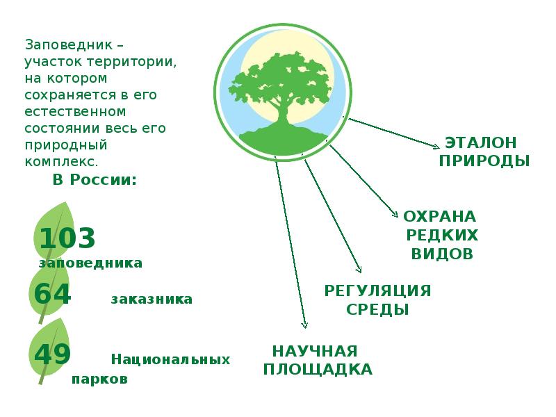 Виды оопт схема