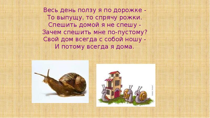 Весь день ползу я по дорожке - То выпущу, то спрячу Весь день ползу я по дорожке - То выпущу, то спрячу