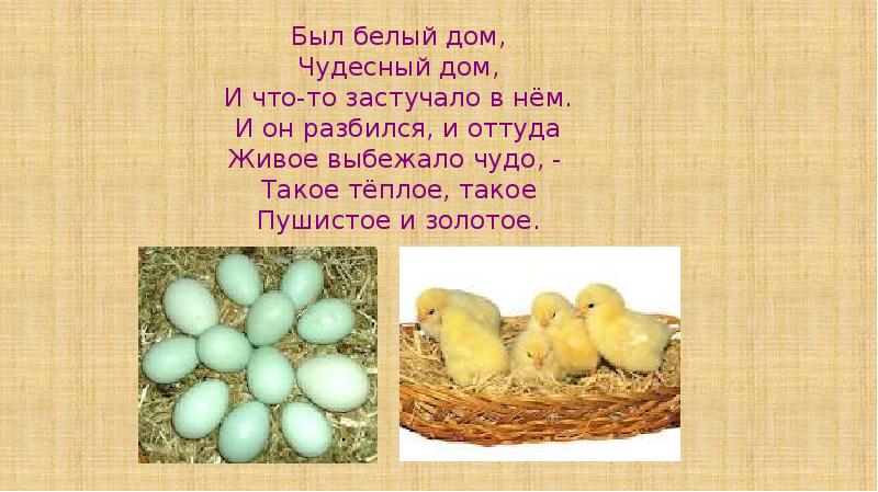 Был белый дом, Чудесный дом, И что-то застучало в нём. И Был белый дом, Чудесный дом, И что-то застучало в нём. И