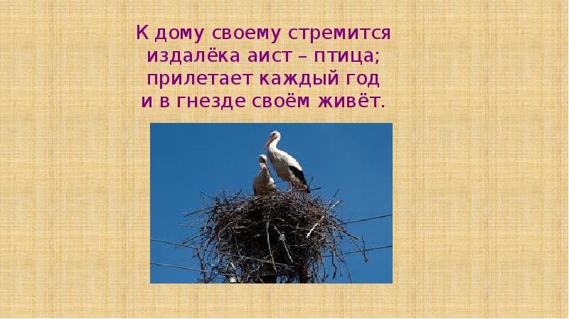 К дому своему стремится издалёка аист – птица; прилетает каждый год К дому своему стремится издалёка аист – птица; прилетает каждый год