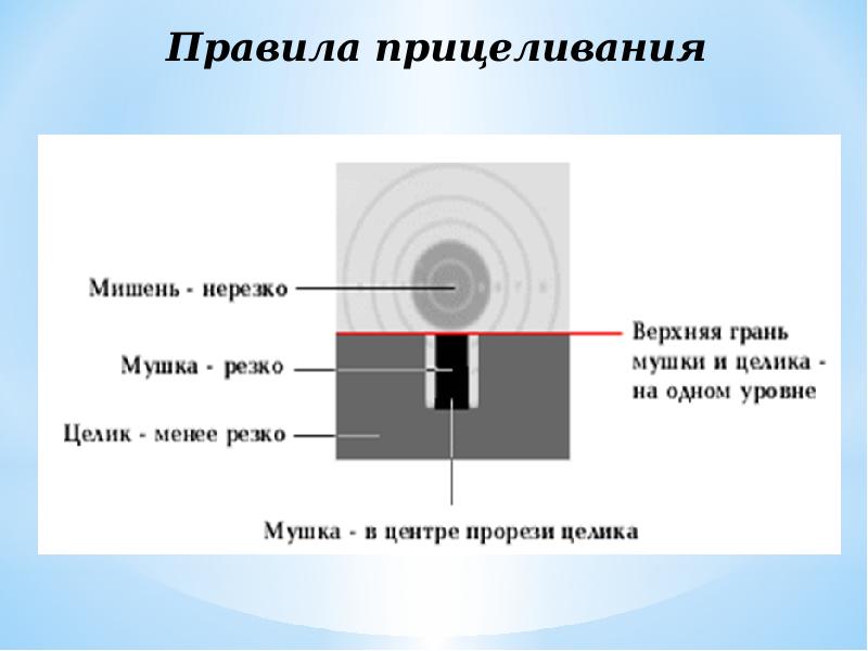 План конспект стрельба из пневматической винтовки