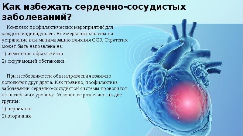 План мероприятий по профилактике заболеваний сердечно сосудистой системы у животных