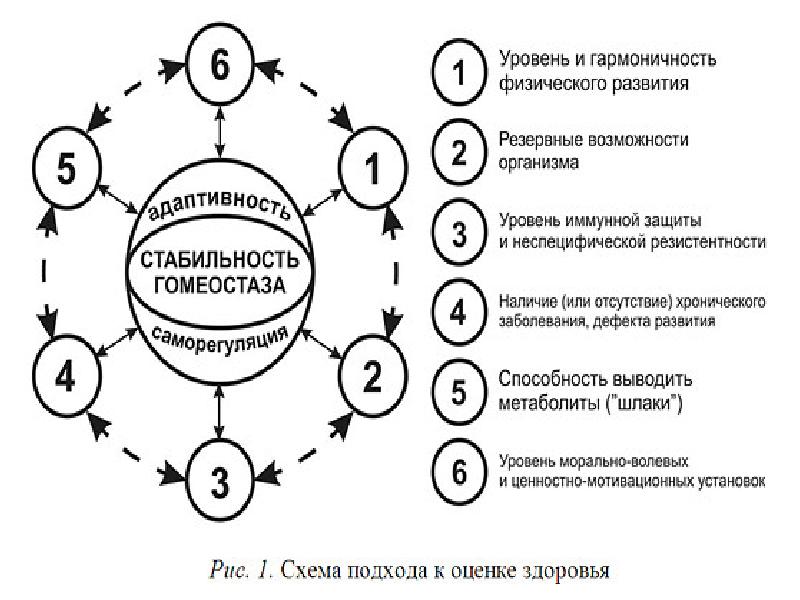 Психотипы личности презентация