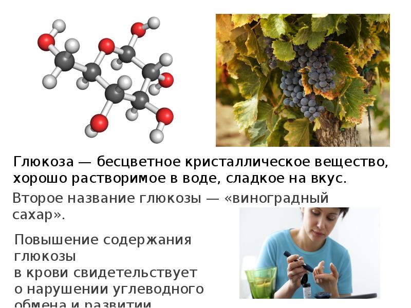 Аминокислоты белки углеводы 9 класс презентация