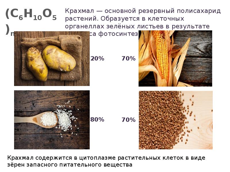 Растения содержащие сахар. Растения содержащие сахар