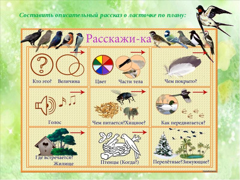 Презентация перелетные птицы вторая младшая группа