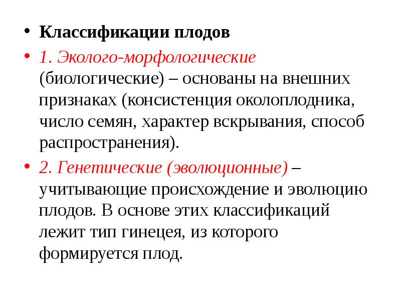 Основа плода