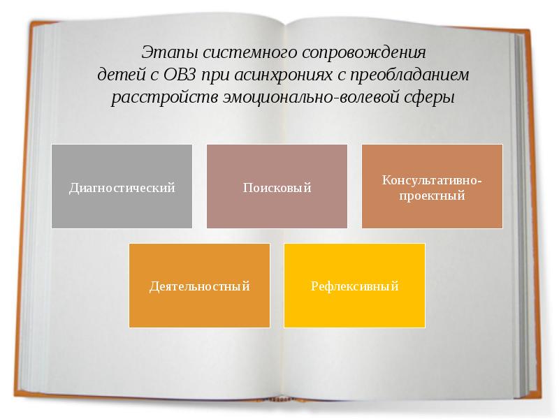 Сопровождение детей с овз. Этапы сопровождения ребенка с ОВЗ. Системное сопровождение детей.