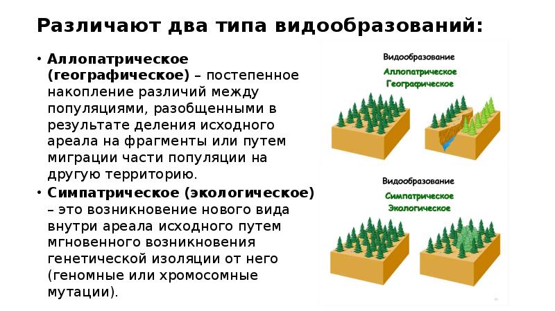 Разделяет ареал на разобщенные части