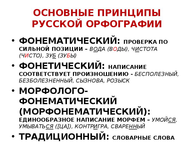 Основный принципы русской орфографии