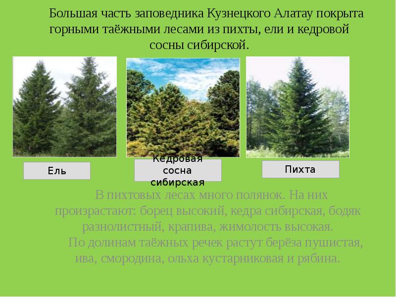 Заповедники кузбасса презентация