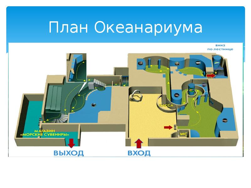 Океанариум технология 3 класс презентация