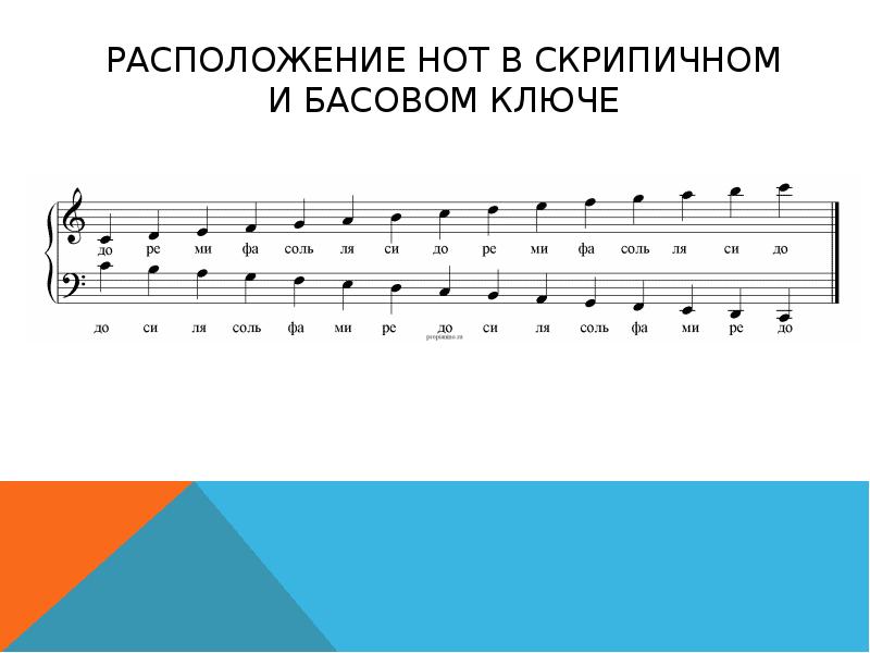 Нижние ноты. Малая и большая Октава в басовом Ключе. Расположение нот на нотном стане в басовом Ключе. Ноты большой октавы в басовом Ключе. Басовый ключ расположение нот.