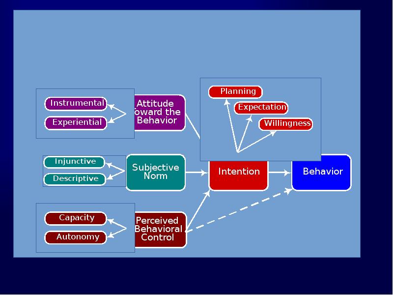 Nature of the Theory’s Components