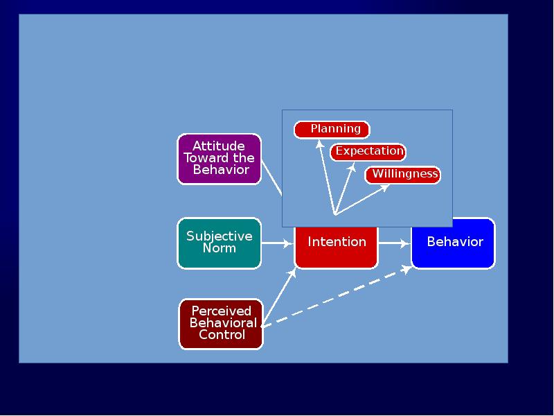 Nature of the Theory’s Components
