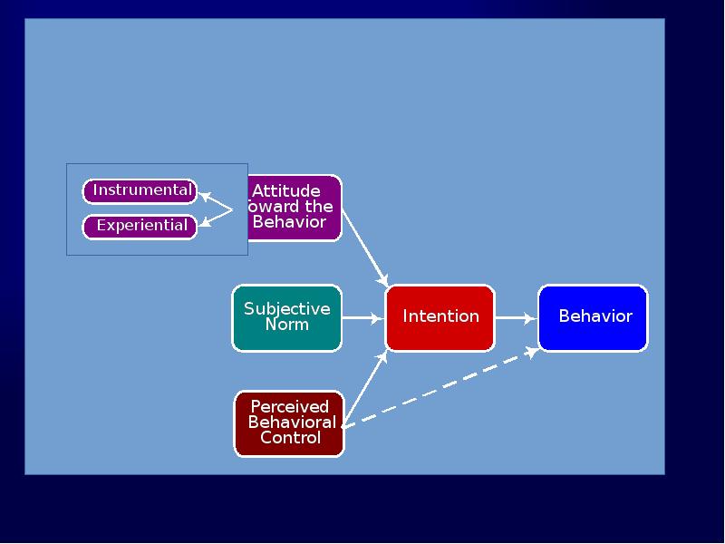 Nature of the Theory’s Components