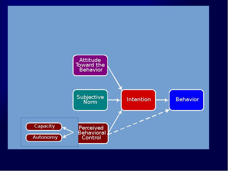 Nature of the Theory’s Components