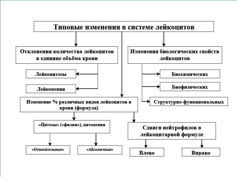 Патофизиология системы крови презентация