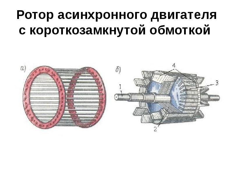 Расчет короткозамкнутого ротора