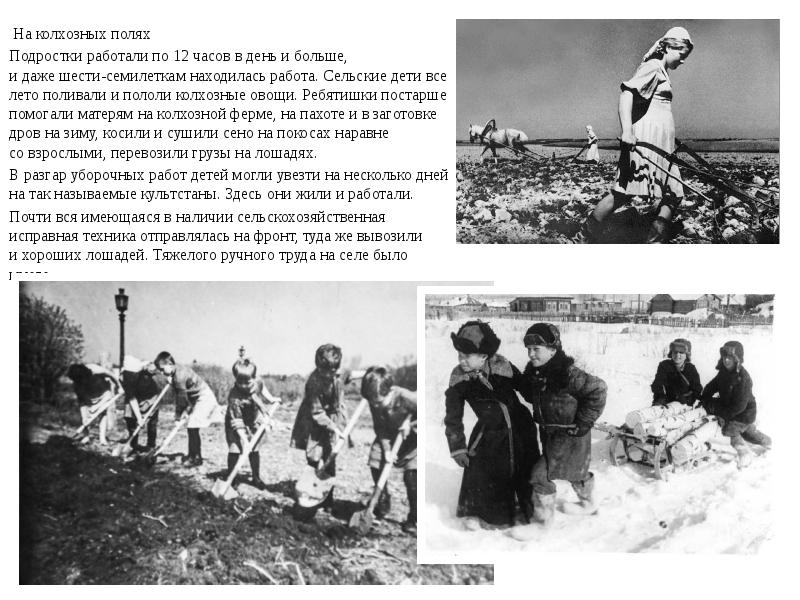 Колхозное поле слова. Колхозное поле песня. Слова песни колхозник. Текст песни колхозное поле. Колхозное поле слова.