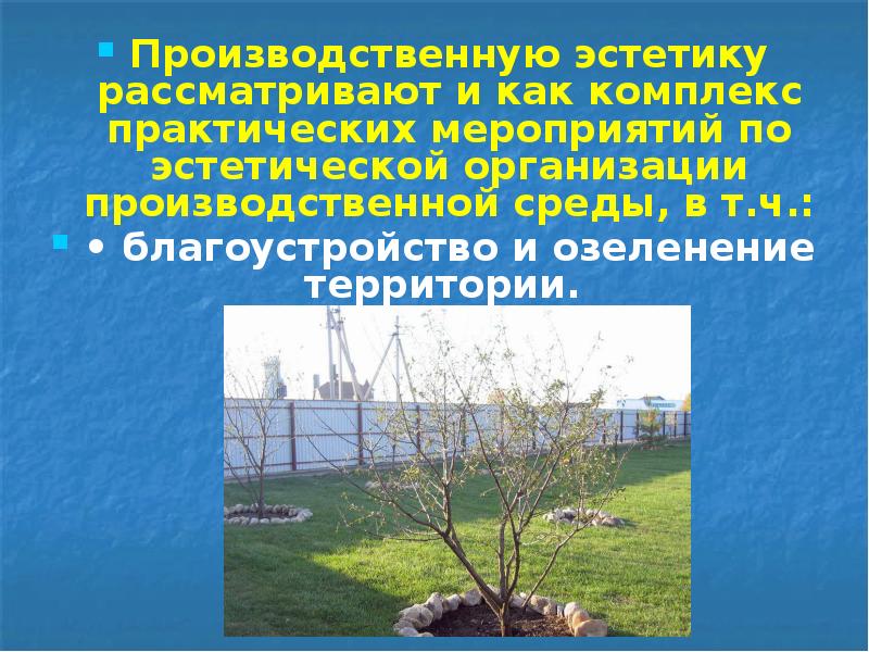 Производственную эстетику рассматривают и как комплекс практических мероприятий по эстетической организации Производственную эстетику рассматривают и как комплекс практических мероприятий по эстетической организации