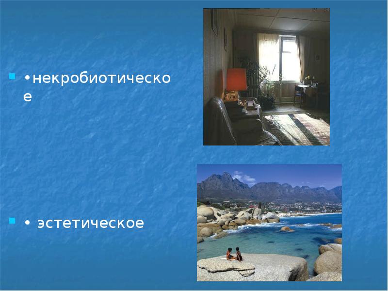 •некробиотическое
•некробиотическое
• эстетическое •некробиотическое
•некробиотическое
• эстетическое