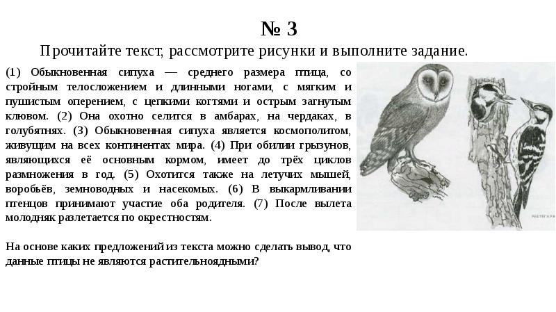 Впр 5 класс презентация