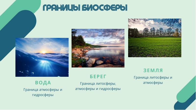 Shareslide ru презентация