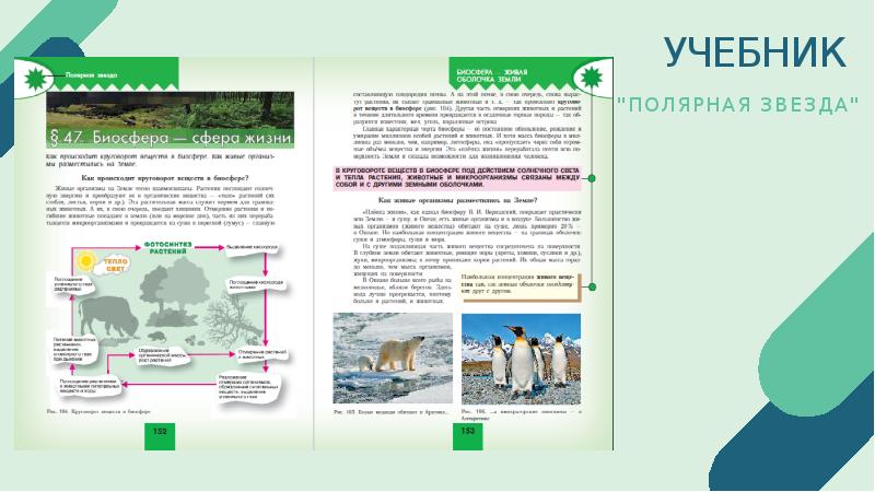 Учебник полярная звезда 5 6. Полярная звезда учебник. Учебник Полярная звезда стр 34. Строение платформы из учебника Полярная звезда 7 класс. Полярная звезда учебник старый.