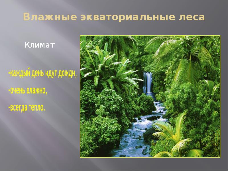 Жизнь в тропическом поясе география 5 класс презентация