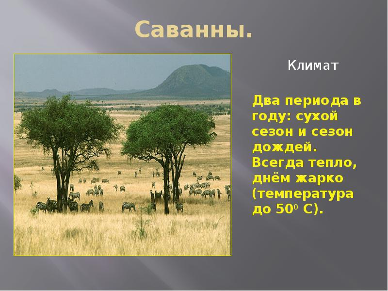 Описание саванны по плану 6 класс география