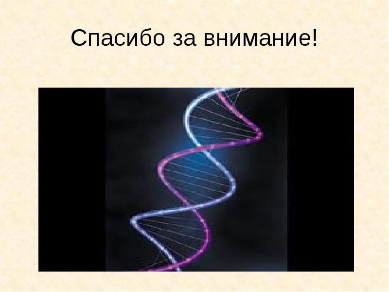 Хромосомные заболевания презентация по генетике