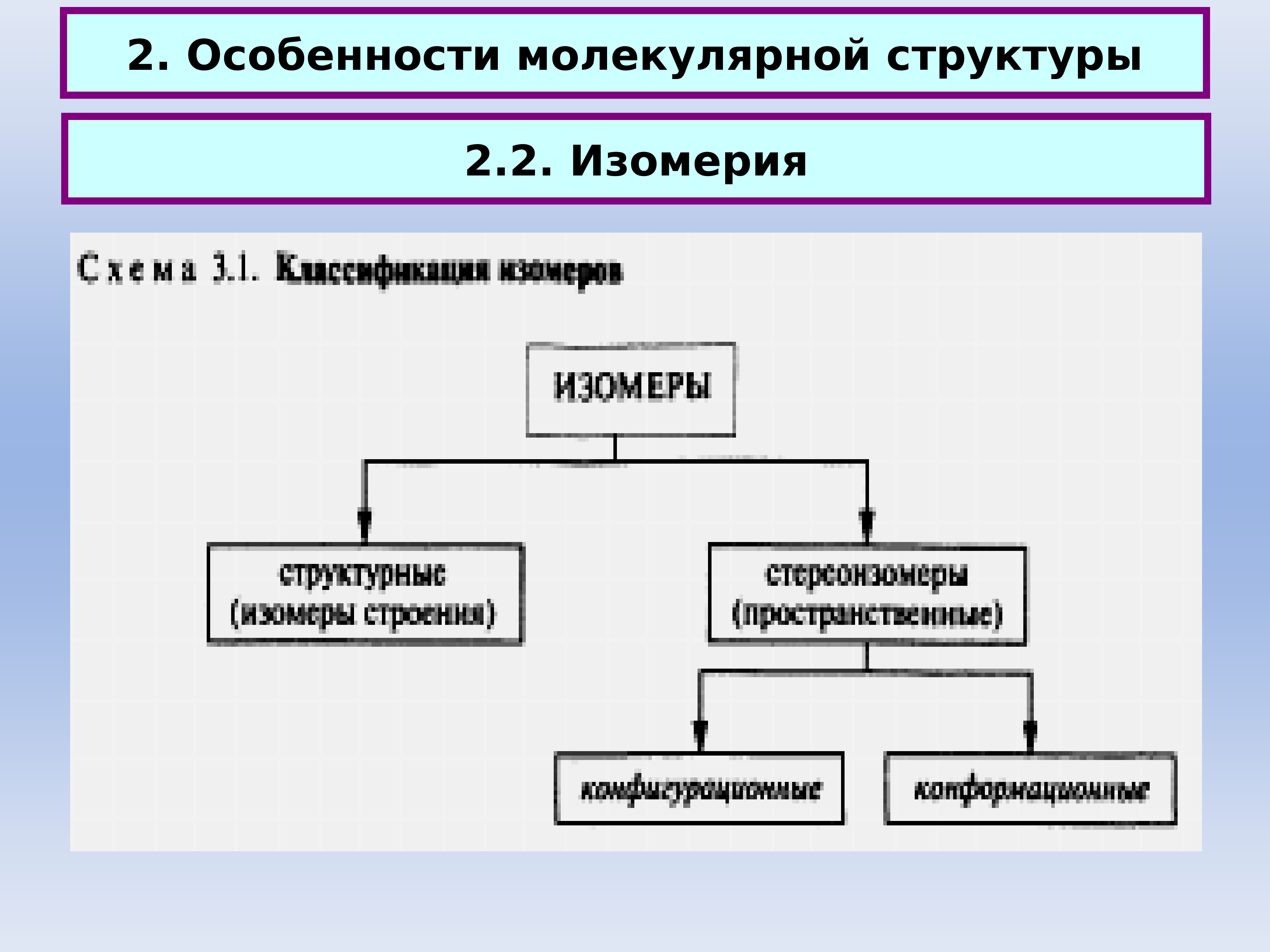 Молекулярные признаки. Особенности молекулярного строения каналов. Знать особенности молекулярного строения каналов.