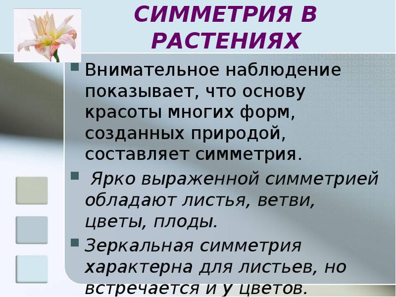 Виды движения в геометрии 9 класс презентация