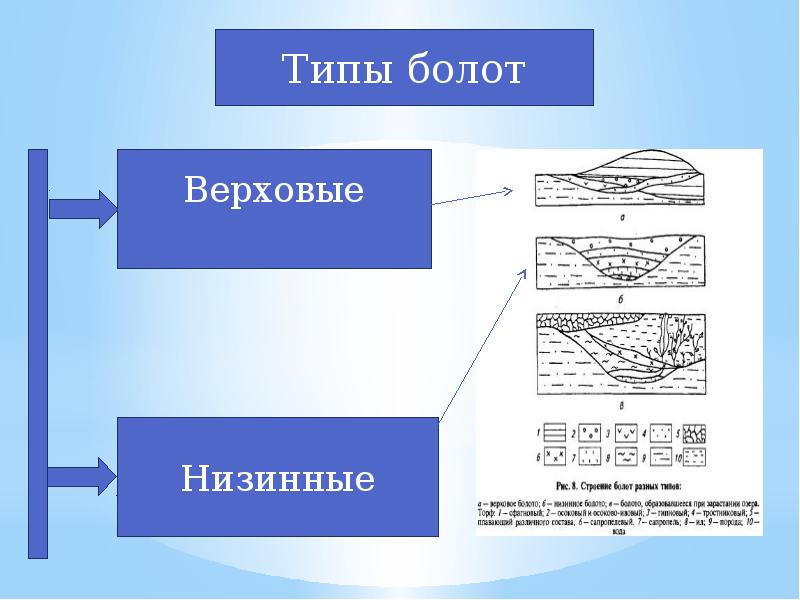 География 8 класс озера болота подземные воды ледники многолетняя мерзлота презентация