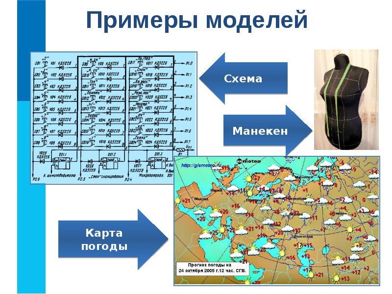 Выберите примеры информационных моделей карта местности медицинская карточка манекен таблица