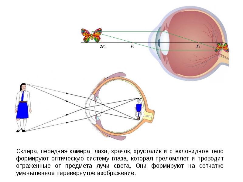 Eshitish analizatori ppt.