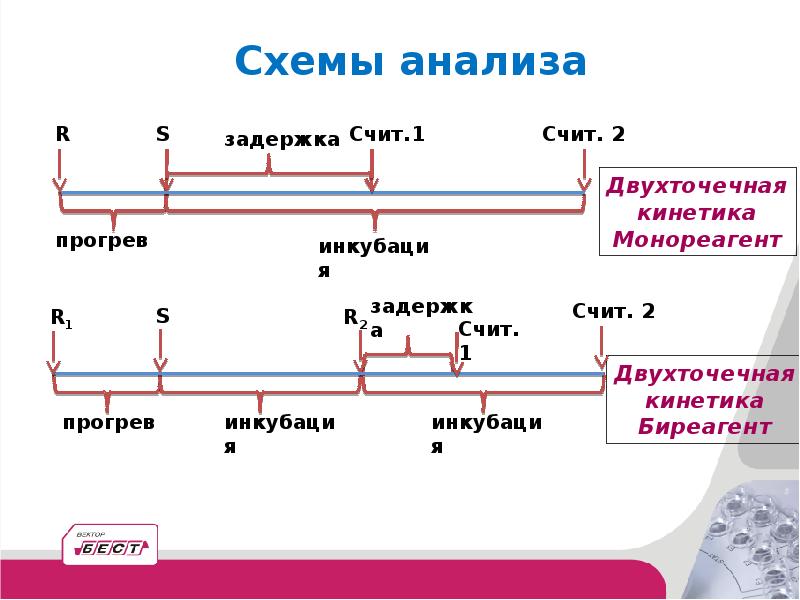 Этапы биохимического исследования