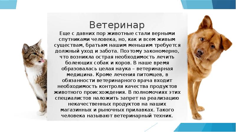 Презентация на тему моя будущая профессия ветеринар 8 класс